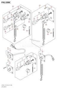 DF100 From 10002F-110001 (E03)  2011 drawing OPT:SWITCH (DF115Z:E03)