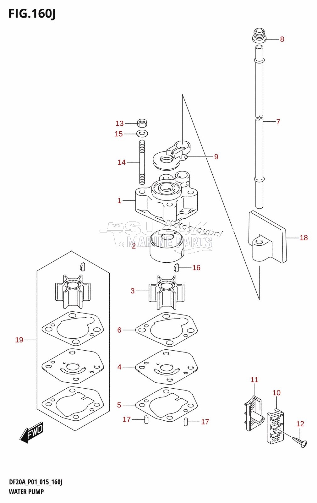 WATER PUMP (DF20AR:P01)