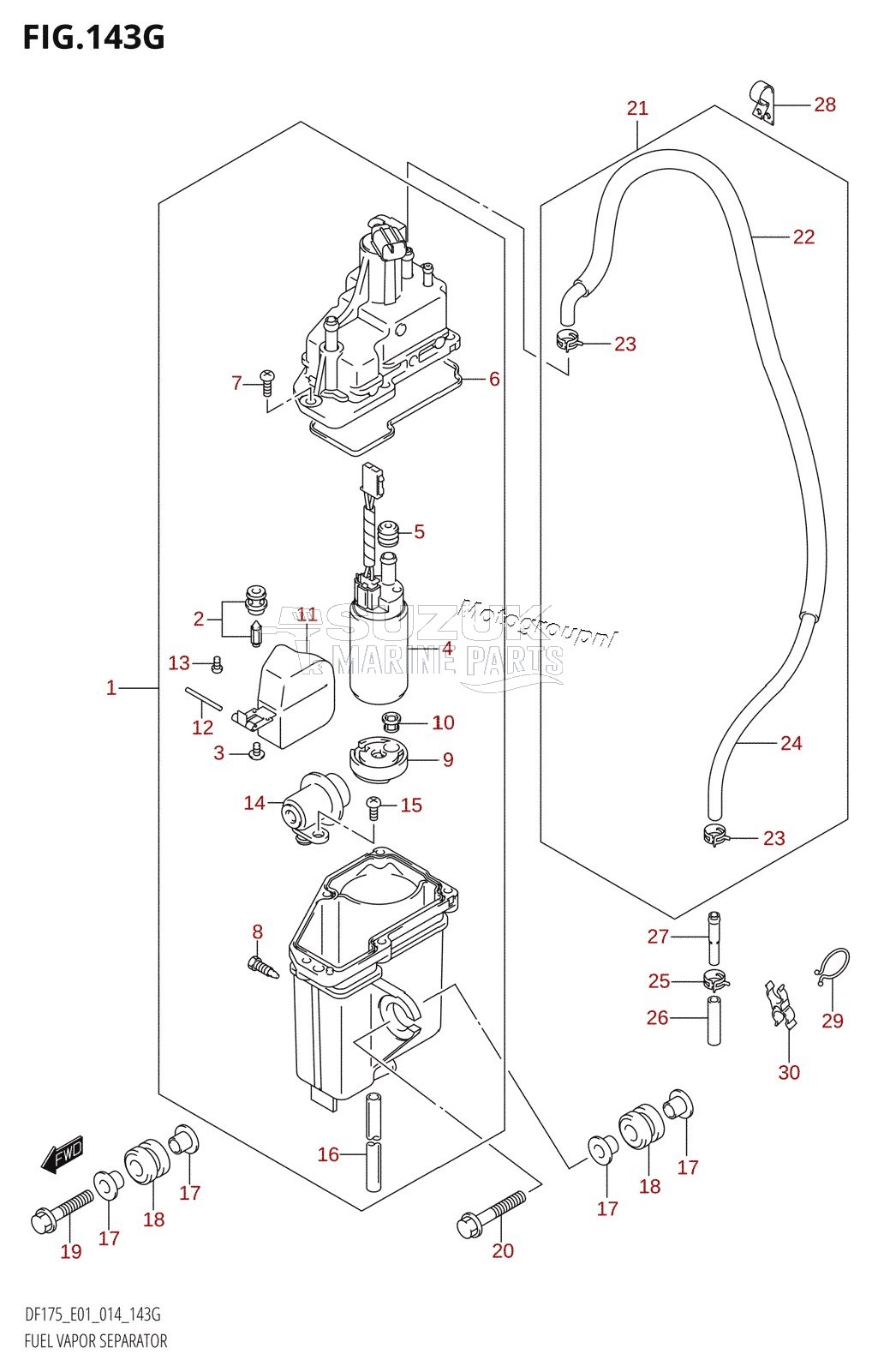 FUEL VAPOR SEPARATOR (DF150ZG:E01)