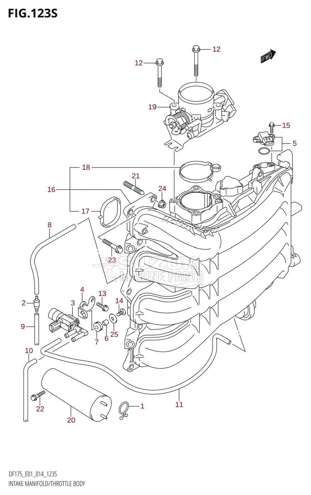 INTAKE MANIFOLD /​ THROTTLE BODY (DF175ZG:E40)