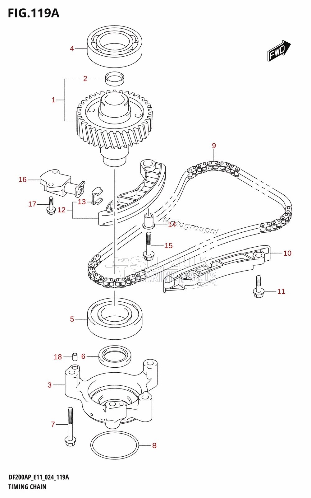 TIMING CHAIN