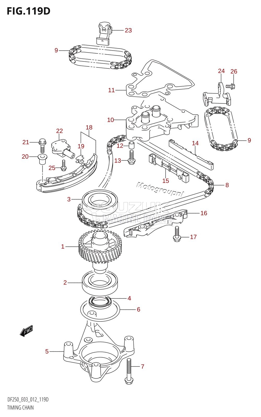 TIMING CHAIN (DF225Z:E03)