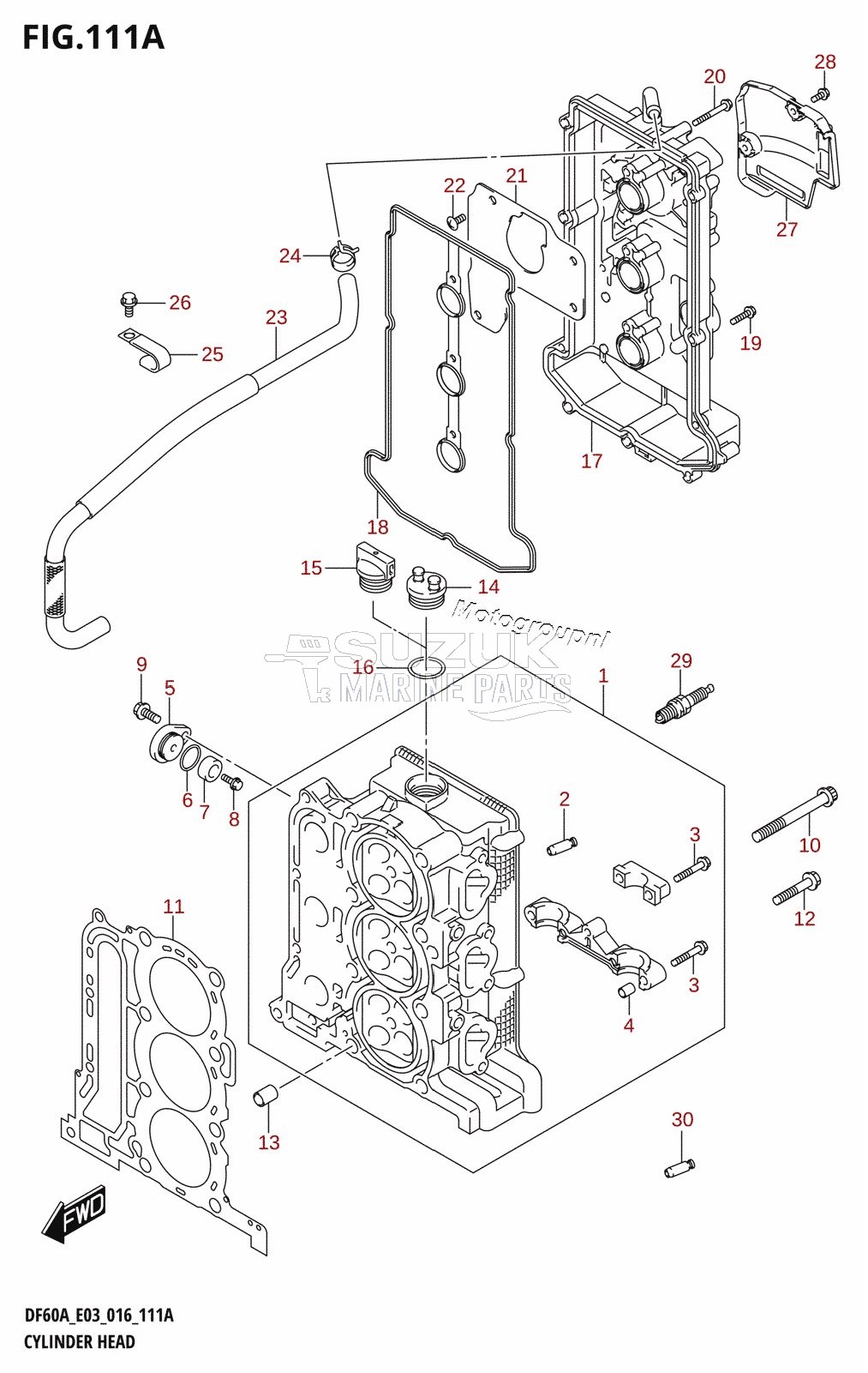 CYLINDER HEAD (DF40A:E03)