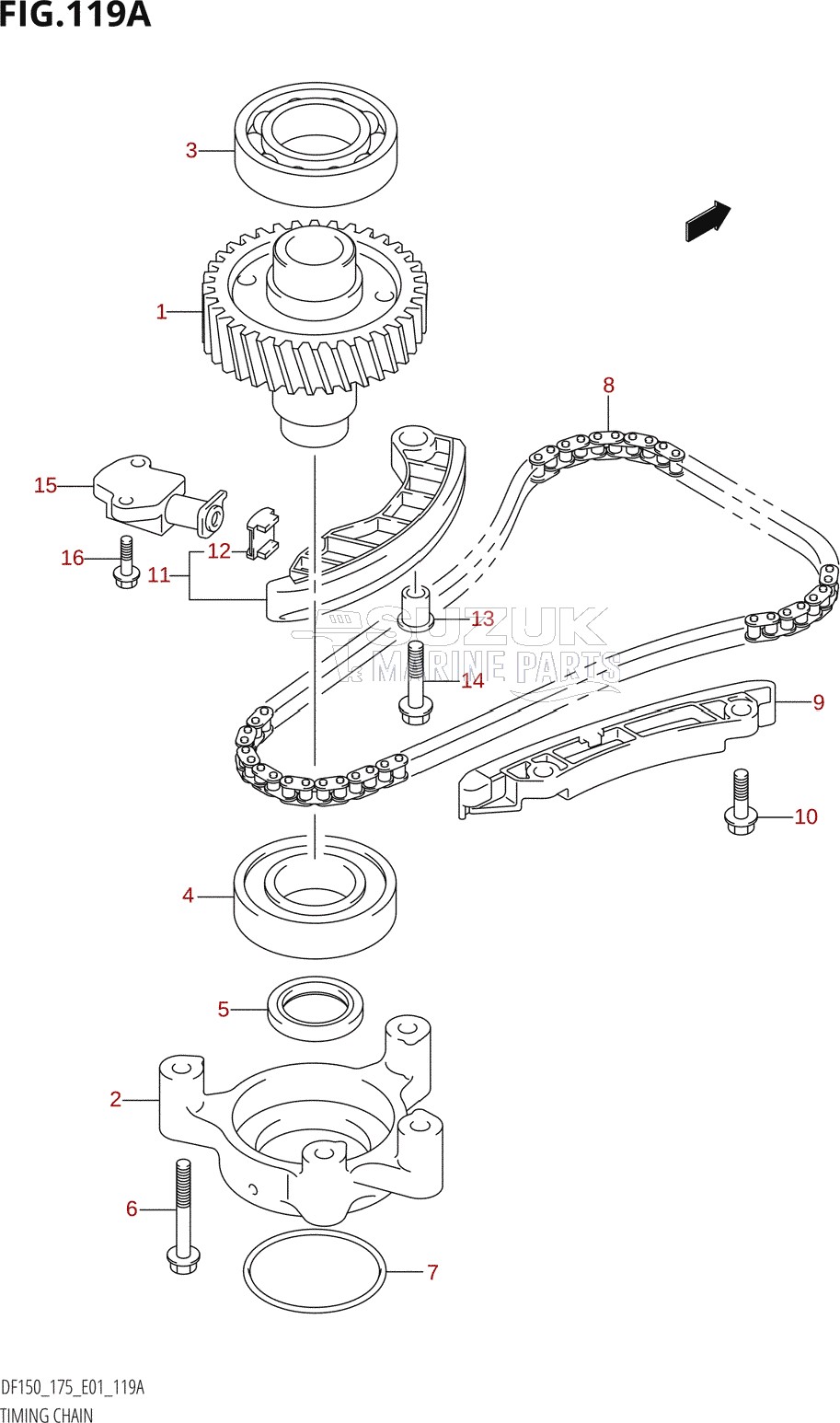 TIMING CHAIN