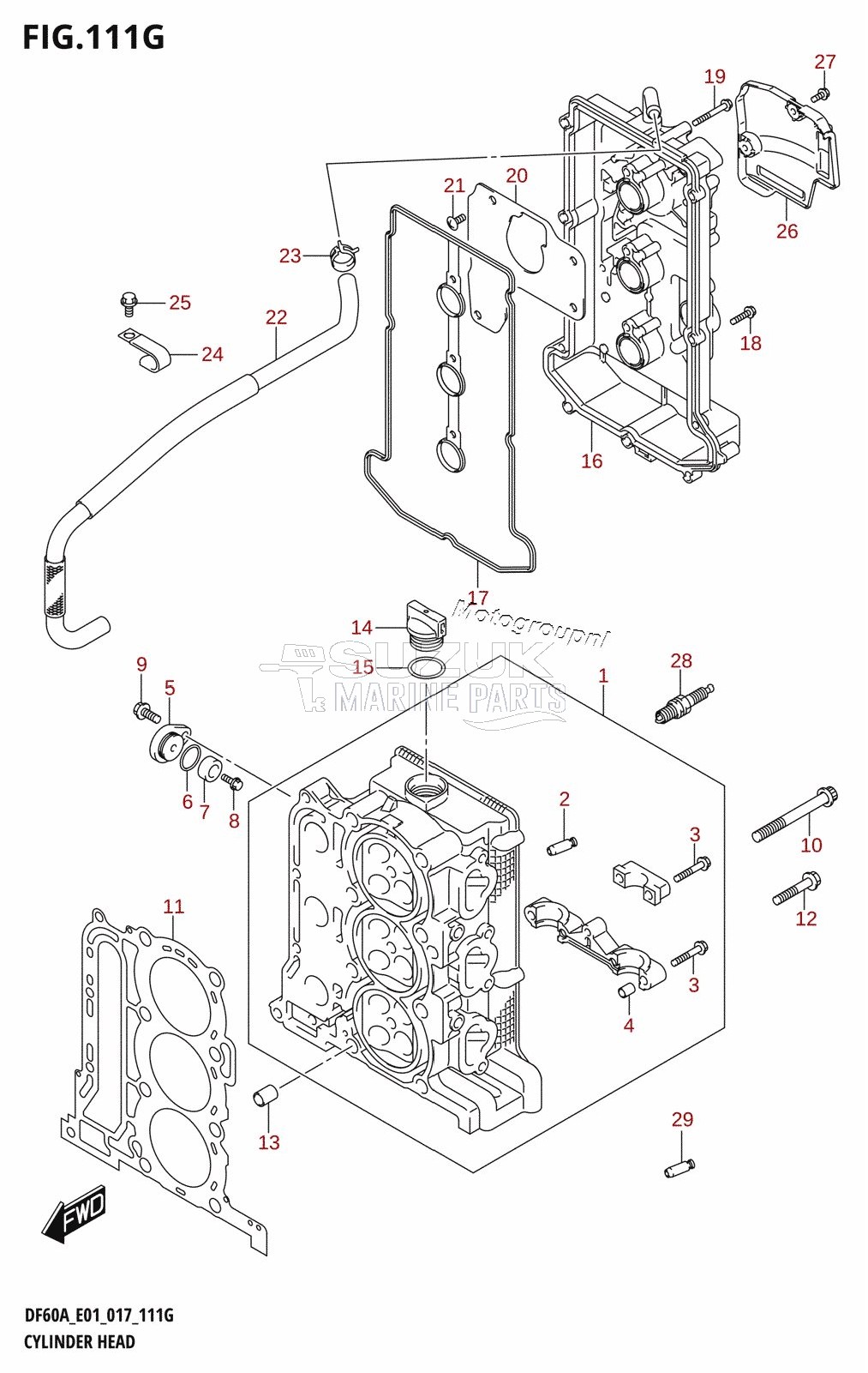 CYLINDER HEAD (DF60A:E01)