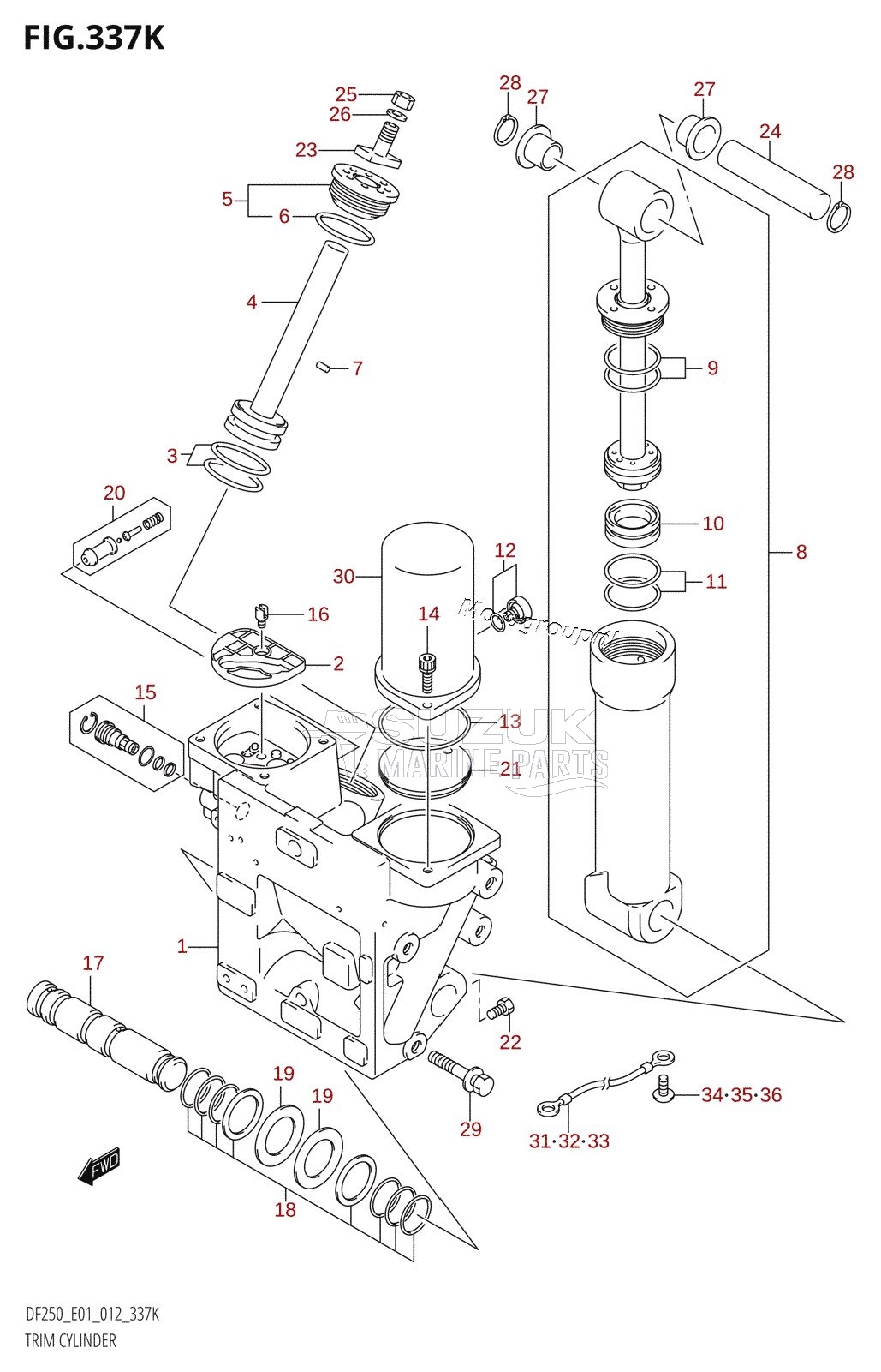 TRIM CYLINDER (DF250T:E40:(X-TRANSOM,XX-TRANSOM))