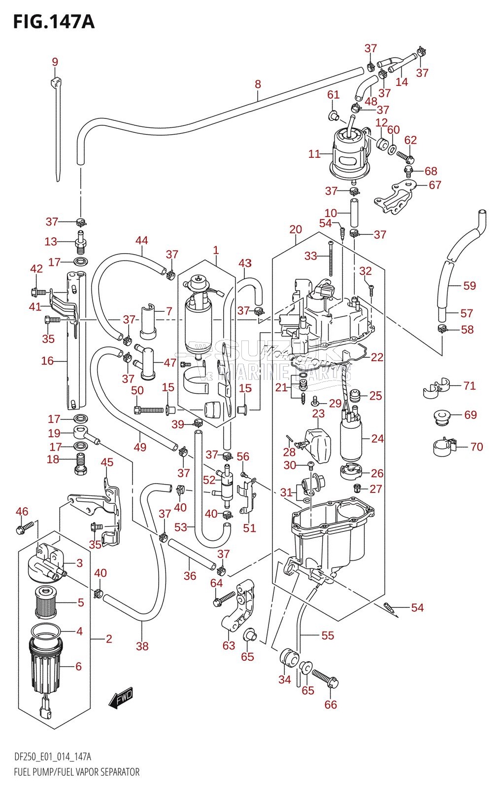 FUEL PUMP /​ FUEL VAPOR SEPARATOR (DF200T:E01)