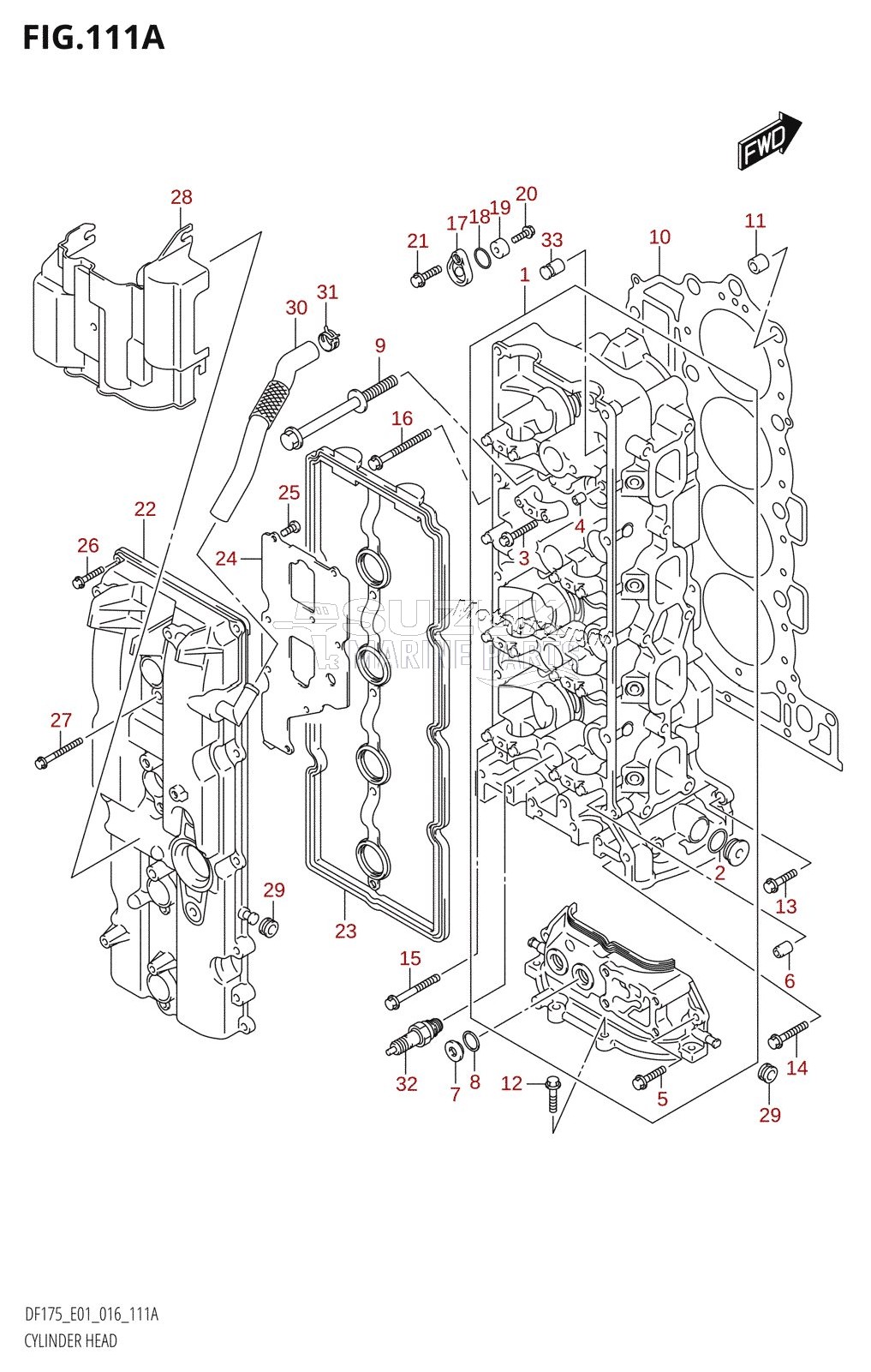 CYLINDER HEAD (DF150T:E01)