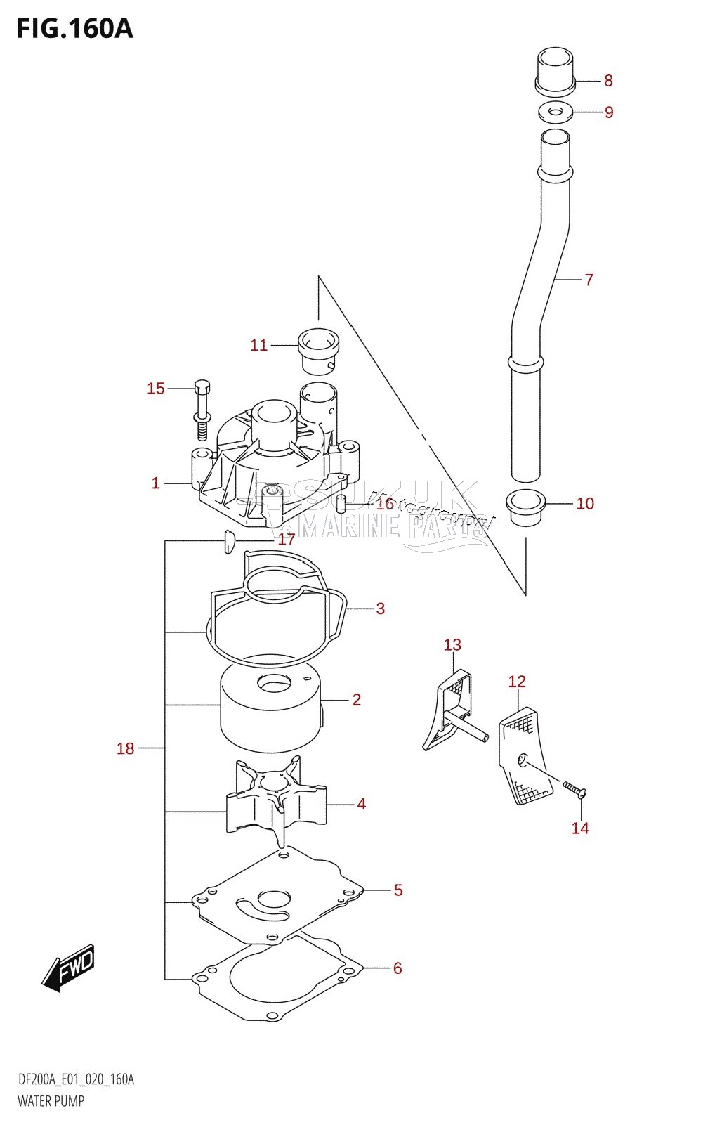 WATER PUMP (DF200AT:E01,DF175AT:E01,DF175AZ:E01)