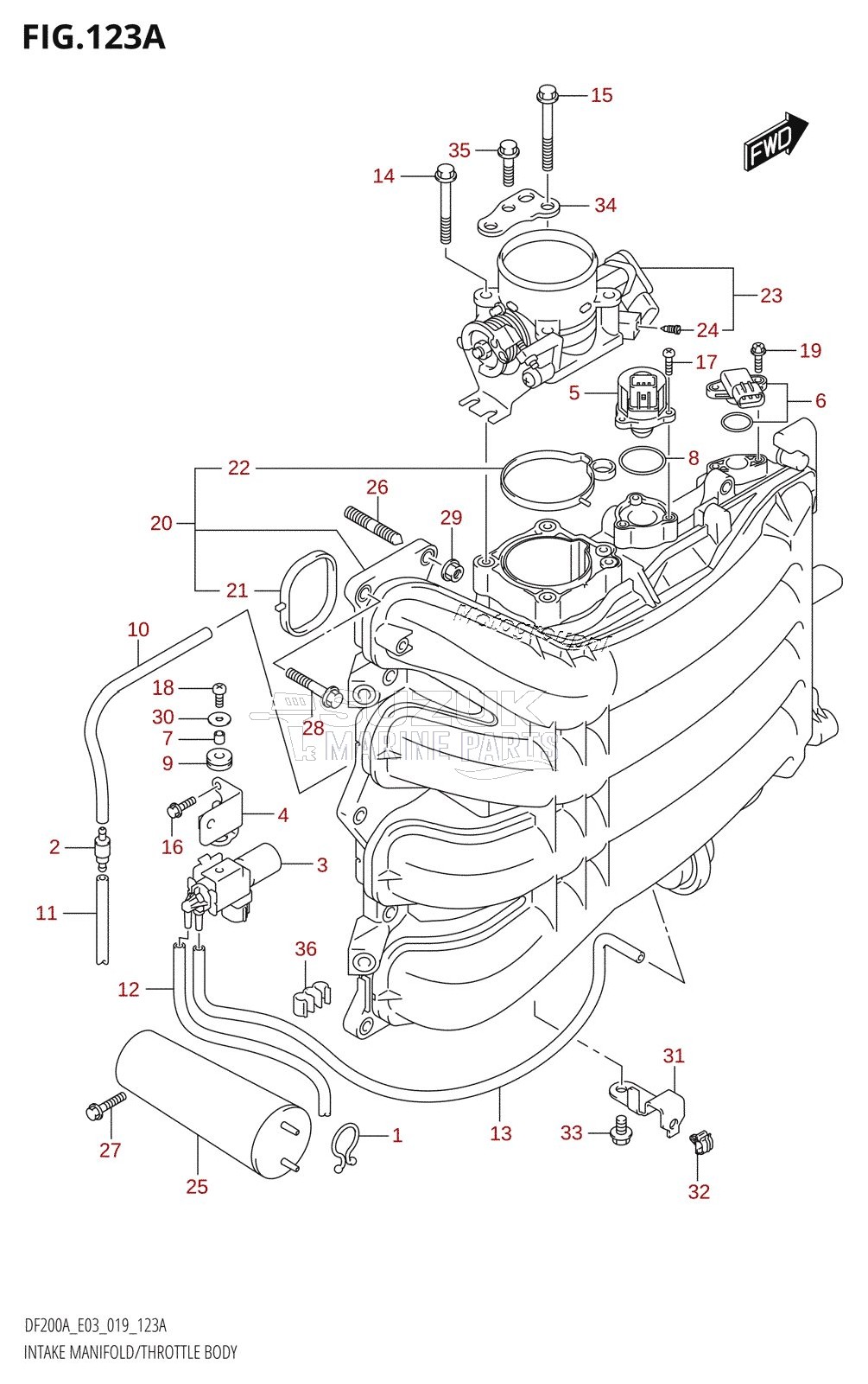 INTAKE MANIFOLD /​ THROTTLE BODY