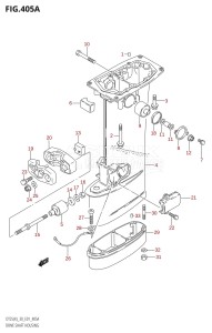 DT30 From 03001-510001 ()  2005 drawing DRIVE SHAFT HOUSING