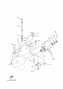 F50HETL drawing LOWER-CASING-x-DRIVE-2