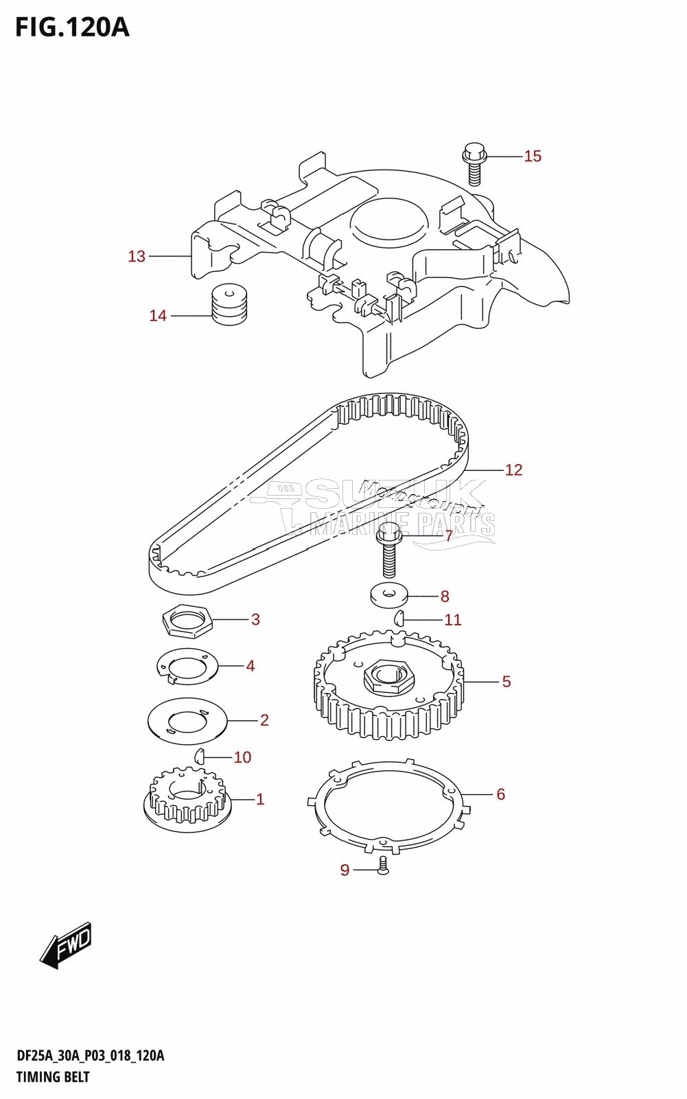 TIMING BELT