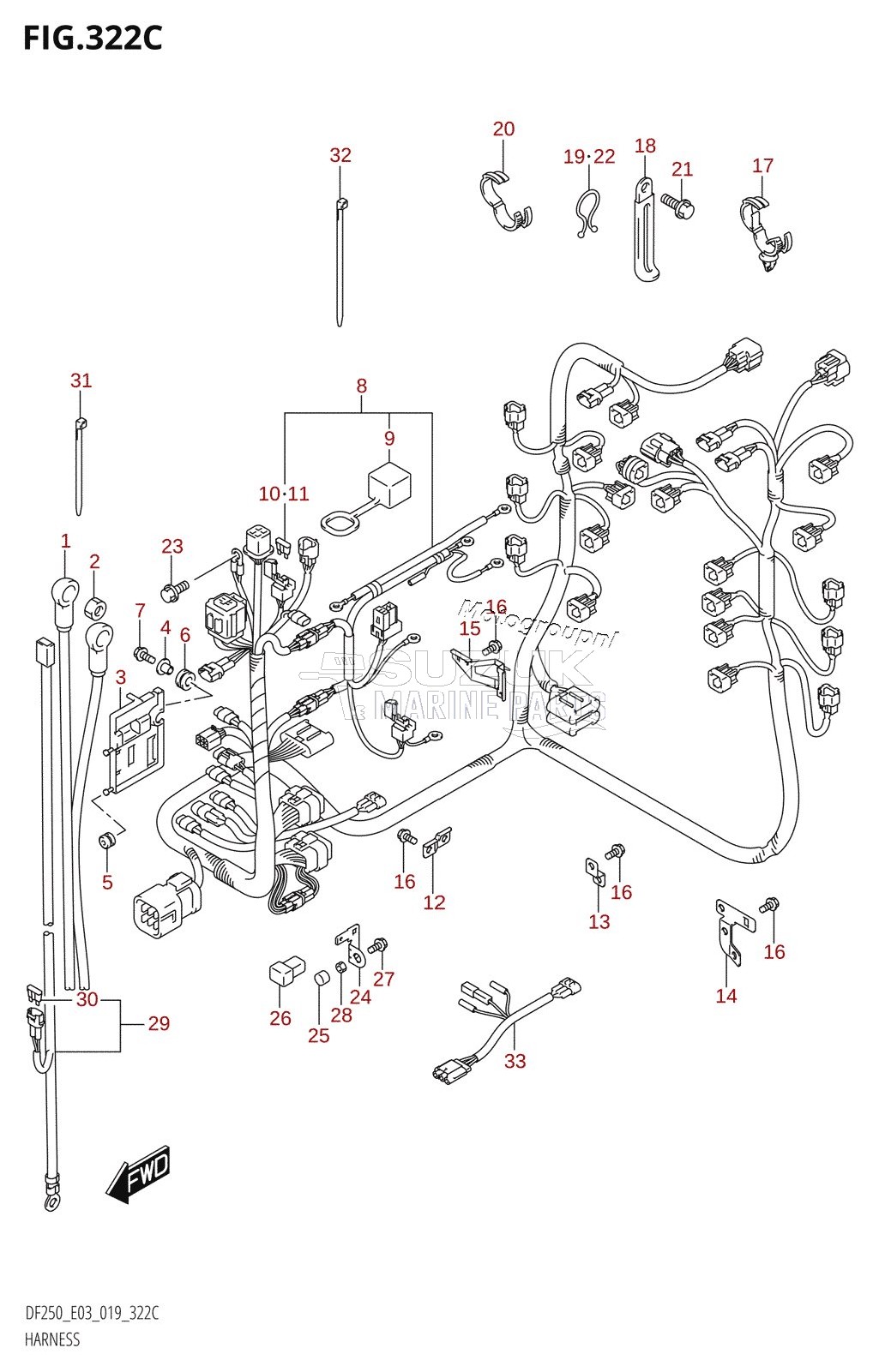 HARNESS (DF250ST)