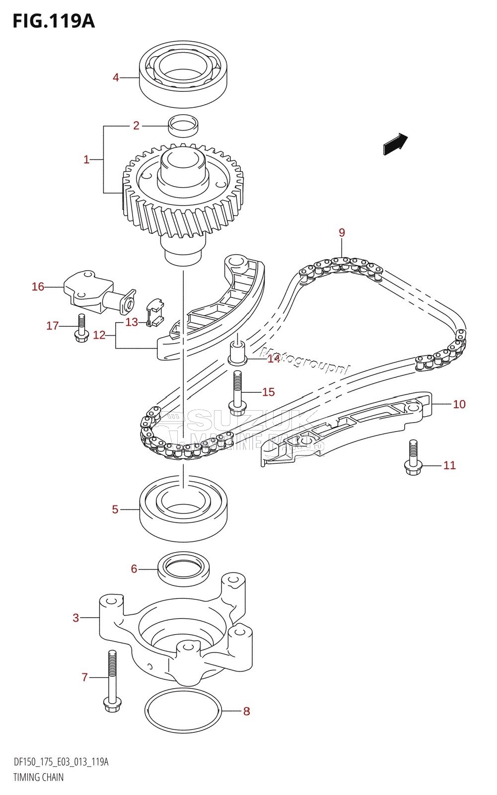 TIMING CHAIN