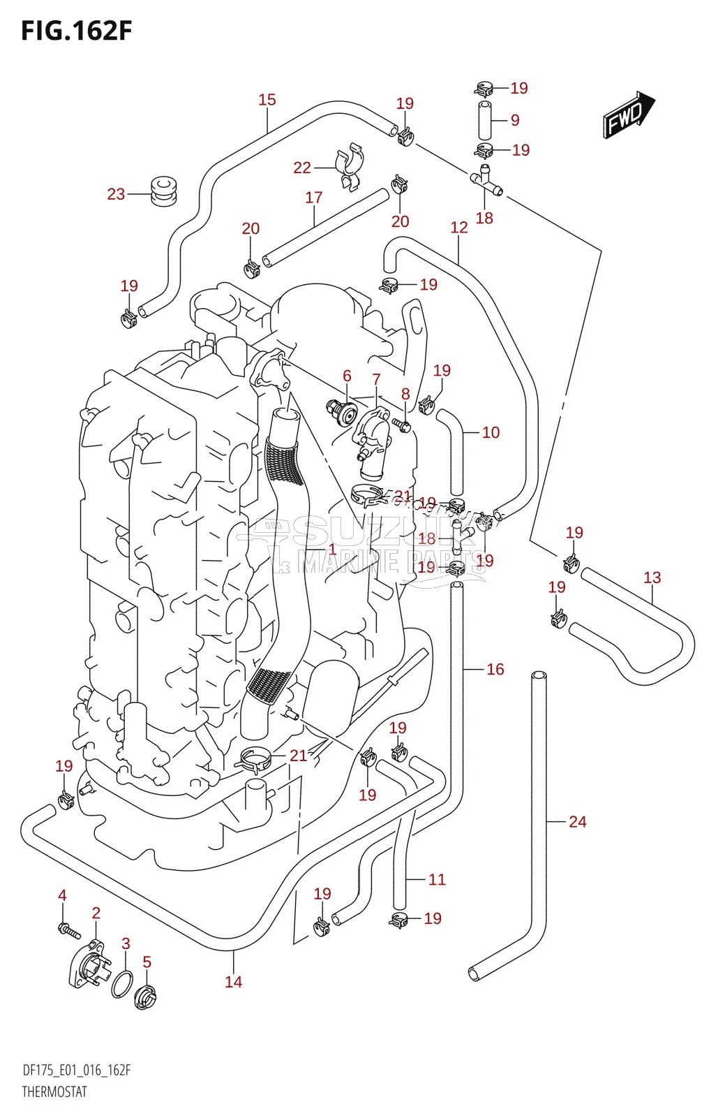 THERMOSTAT (DF150Z:E40)