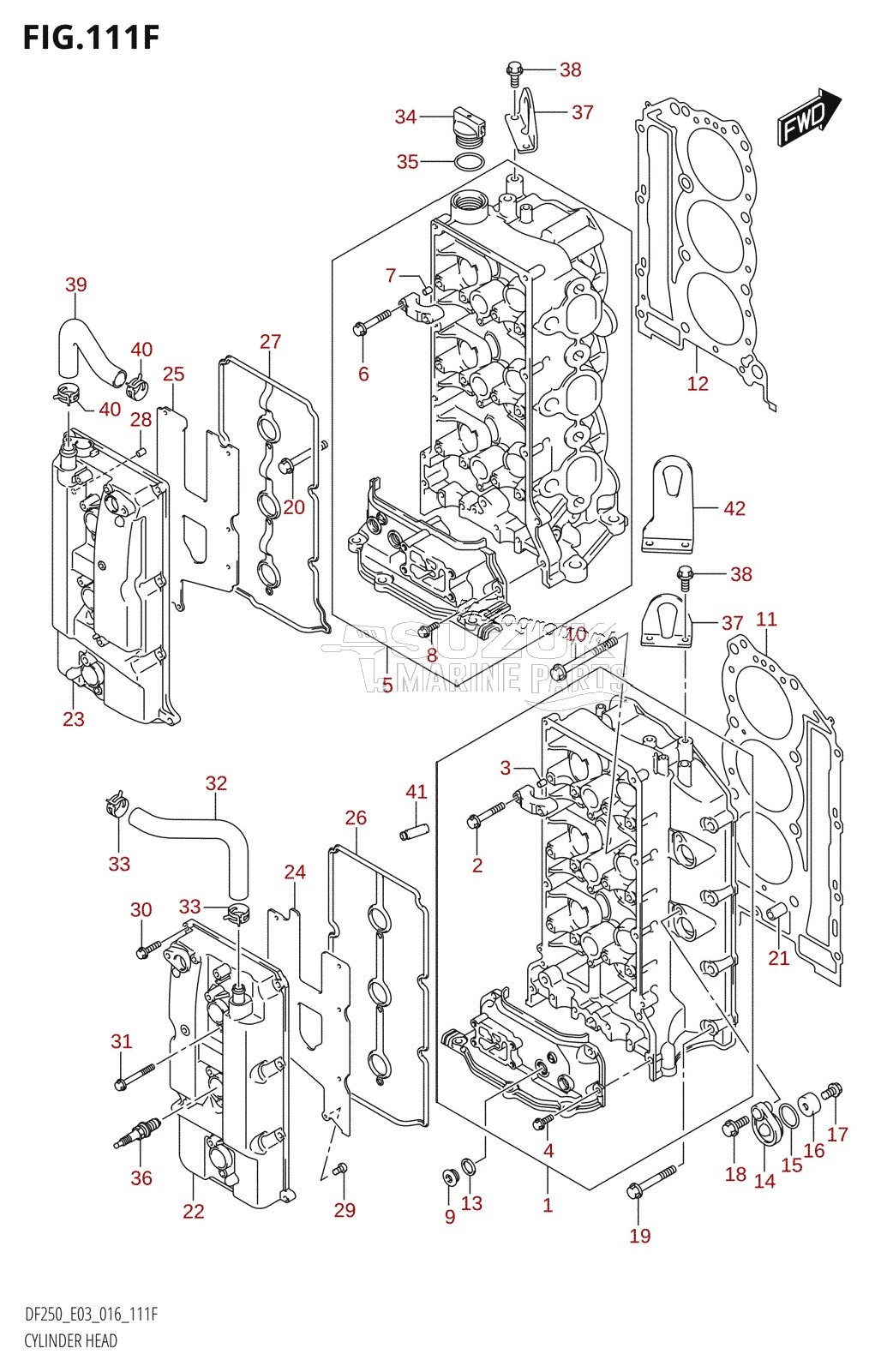 CYLINDER HEAD (DF250Z:E03)