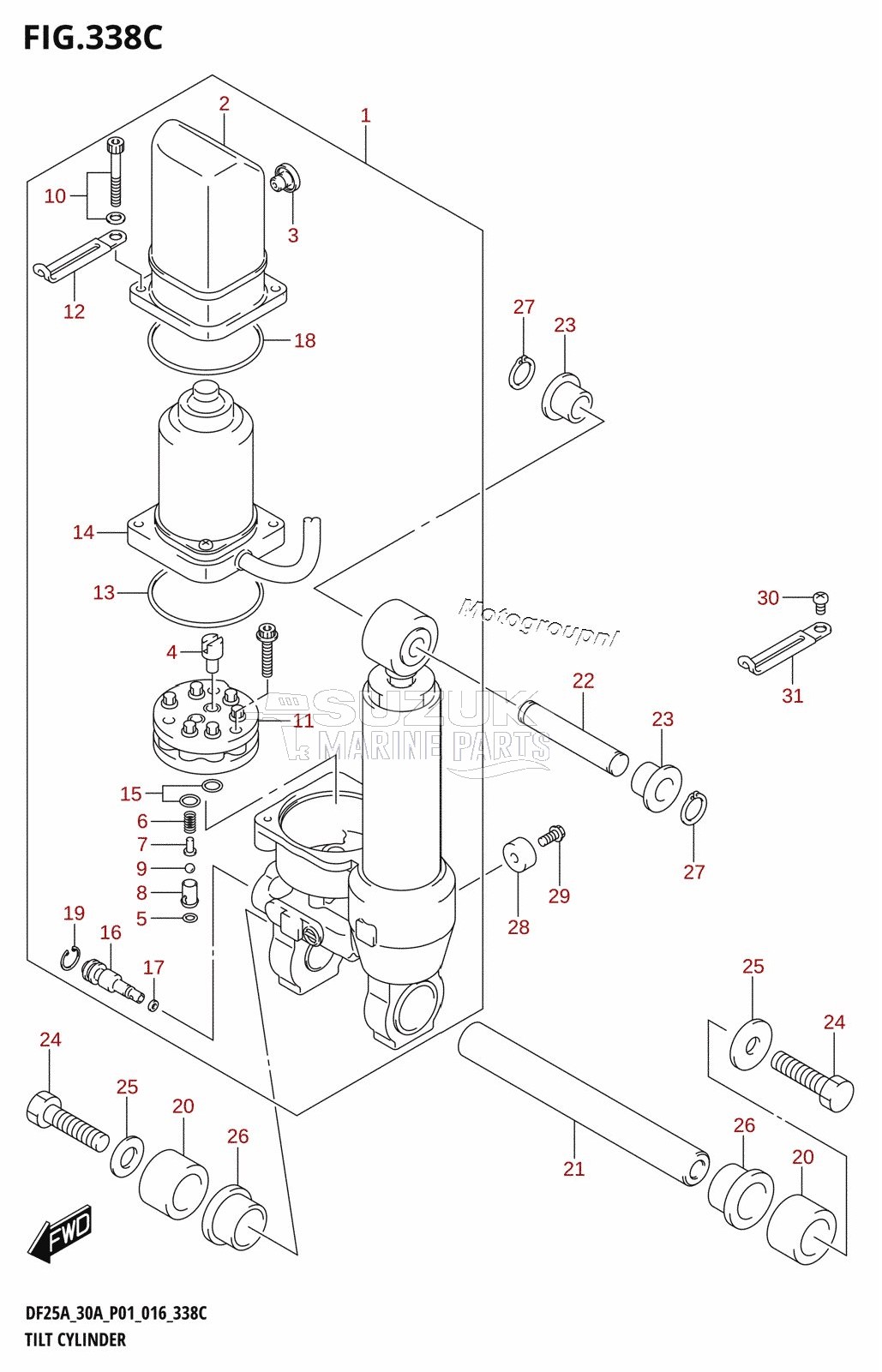 TILT CYLINDER (DF30AT:P01)