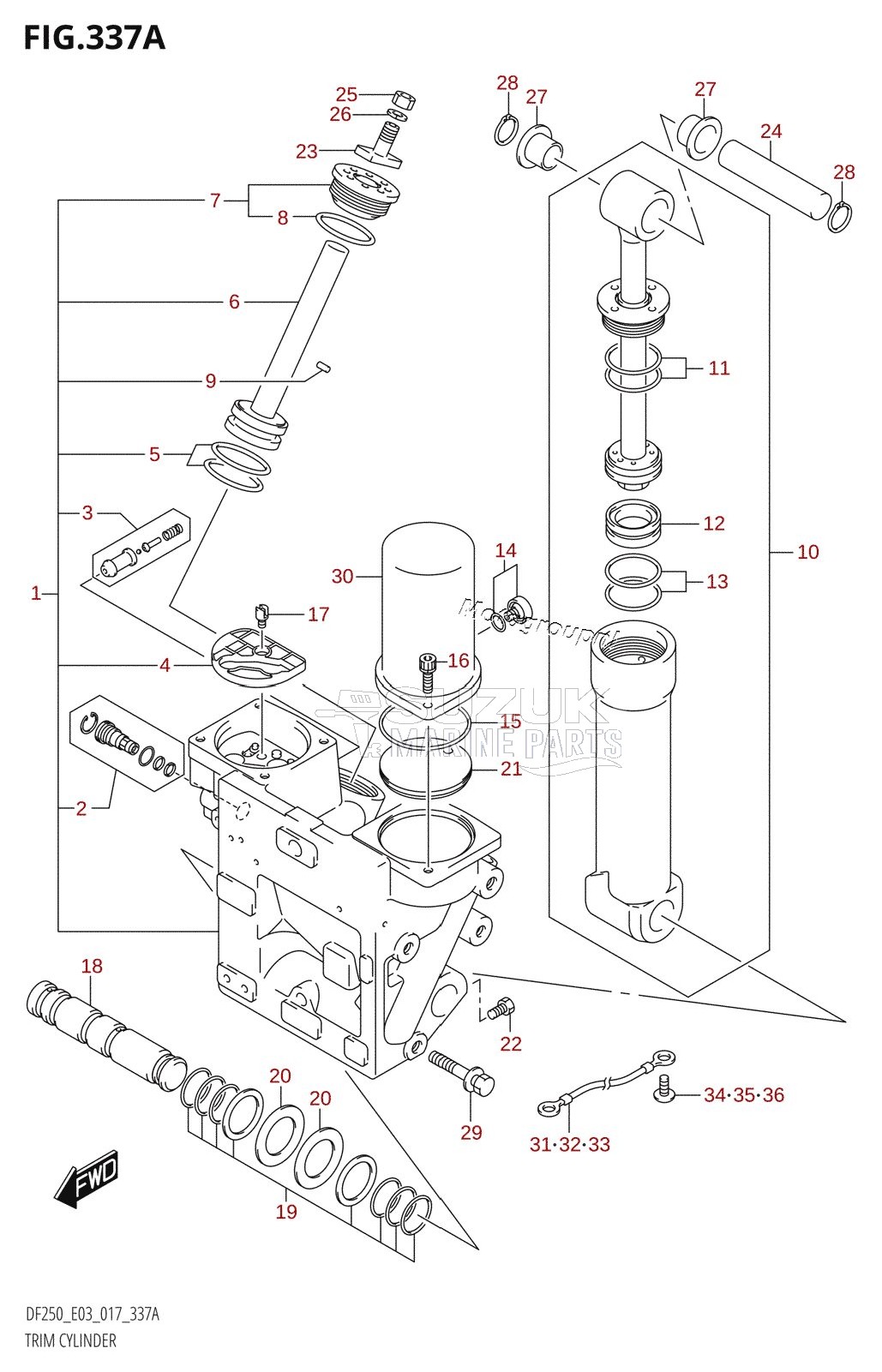 TRIM CYLINDER (DF200T:E03:X-TRANSOM)