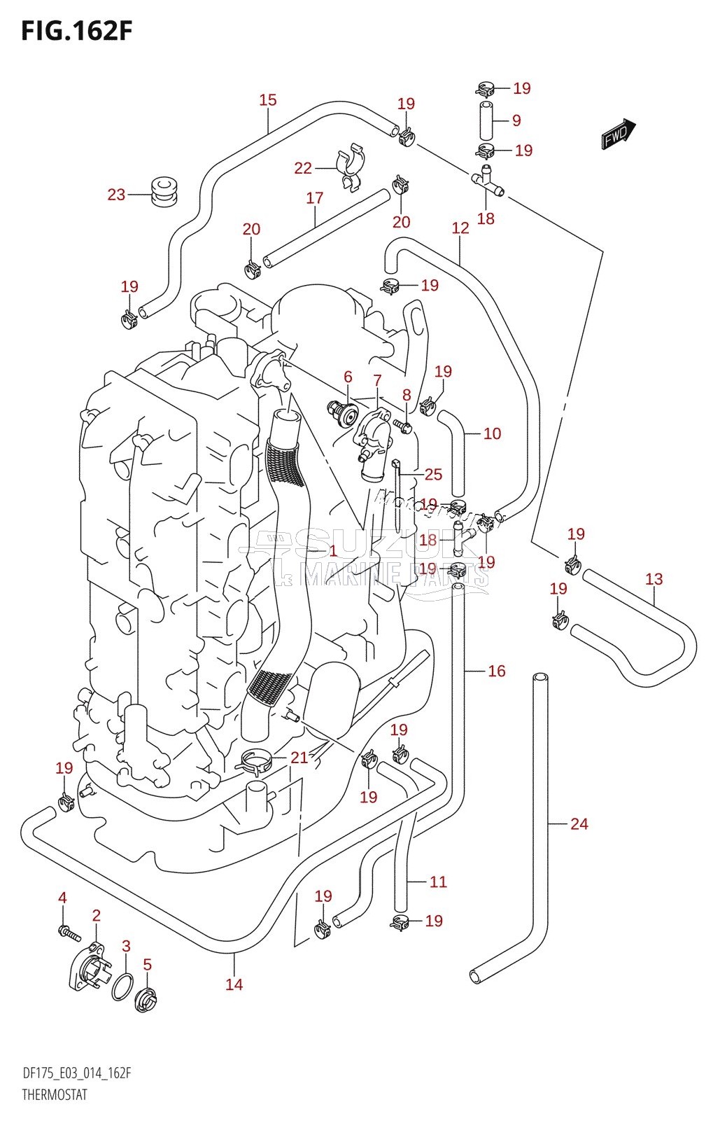 THERMOSTAT (DF175TG:E03)