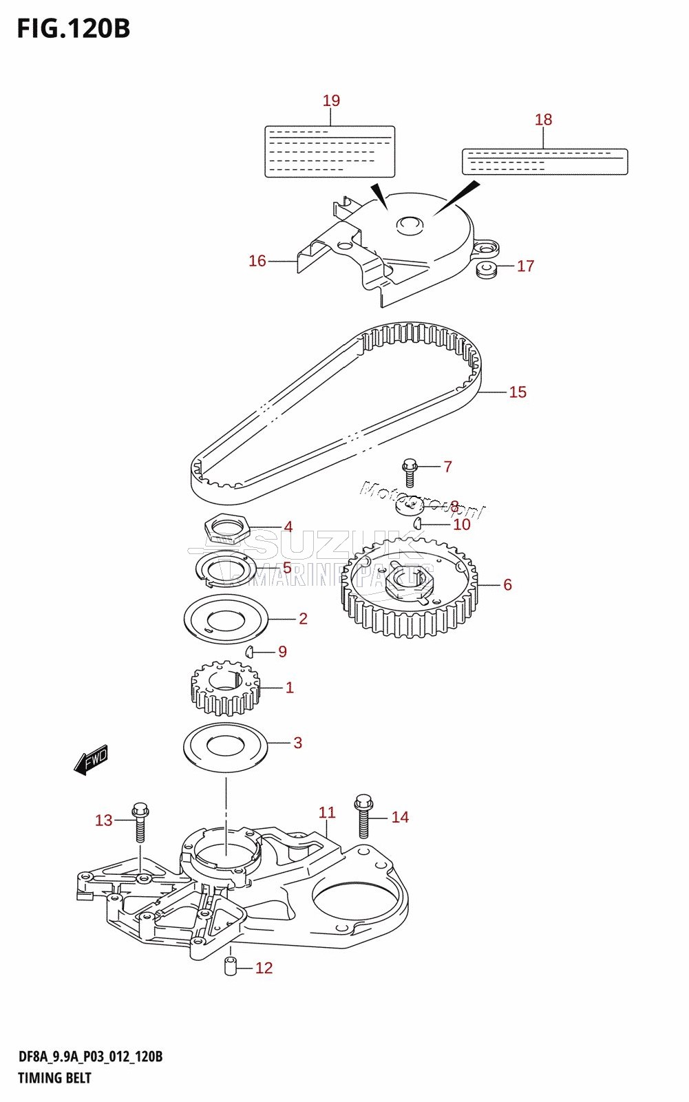 TIMING BELT (DF8AR:P03)