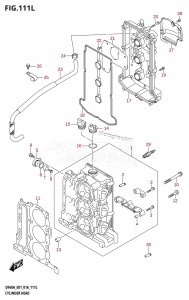 DF60A From 06003F-610001 (E01 E40)  2016 drawing CYLINDER HEAD (DF60ATH:E01)