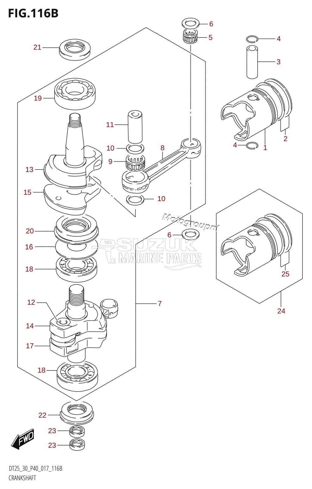 CRANKSHAFT (DT30:P40)