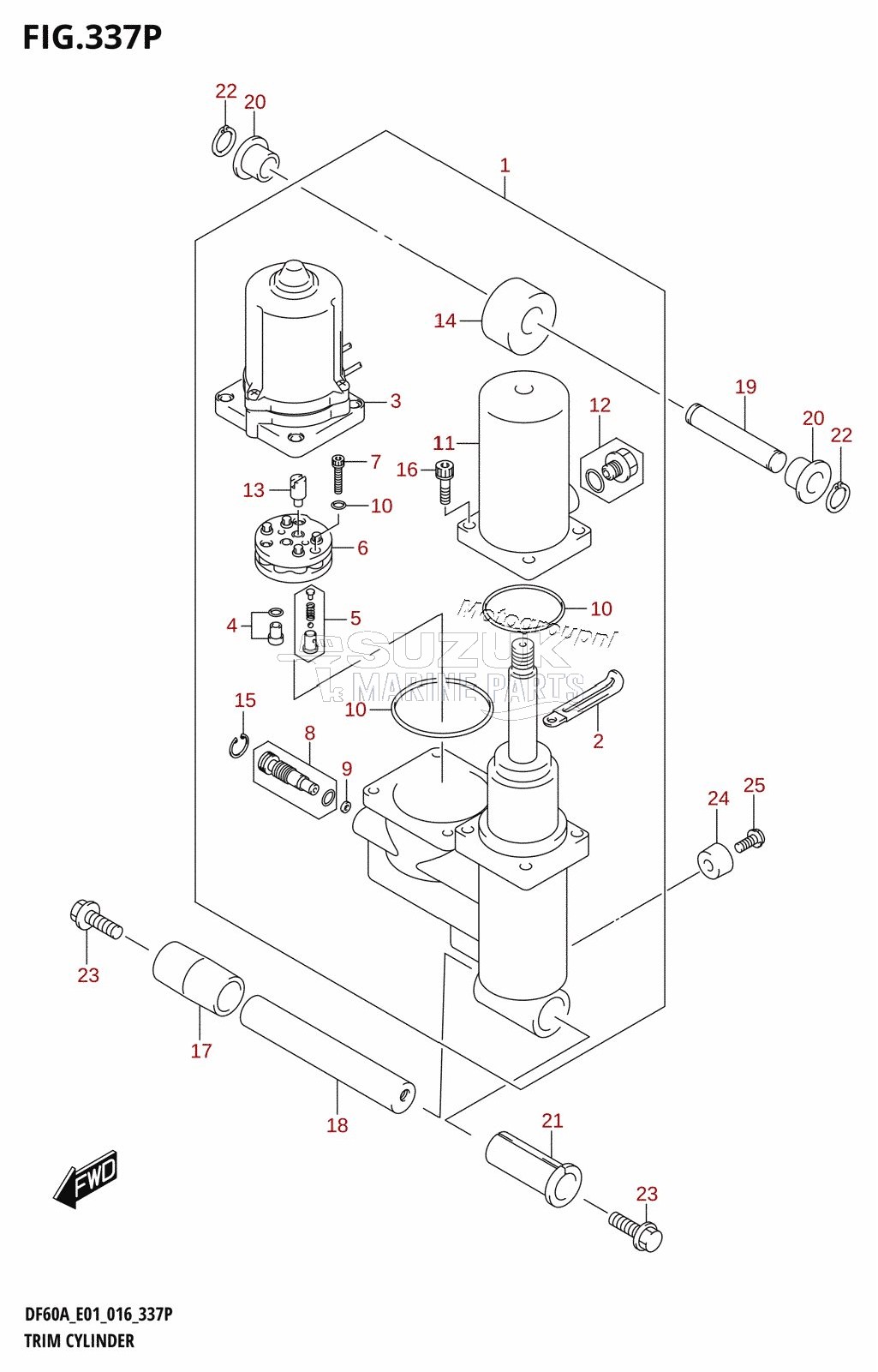 TRIM CYLINDER (DF60AVTH:E01)