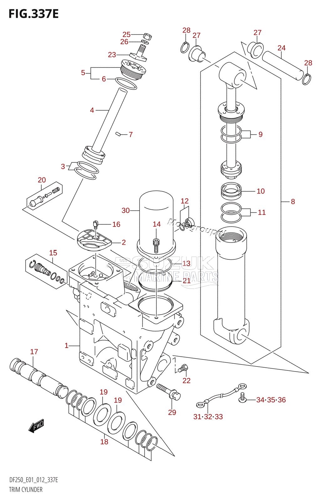 TRIM CYLINDER (DF225T:E01:(X-TRANSOM,XX-TRANSOM))