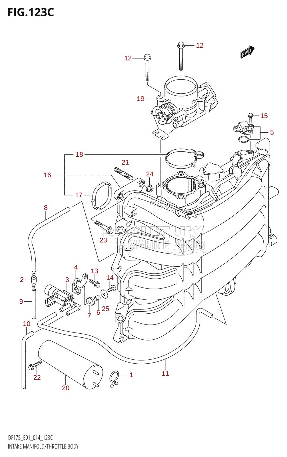 INTAKE MANIFOLD /​ THROTTLE BODY (DF150TG:E01)