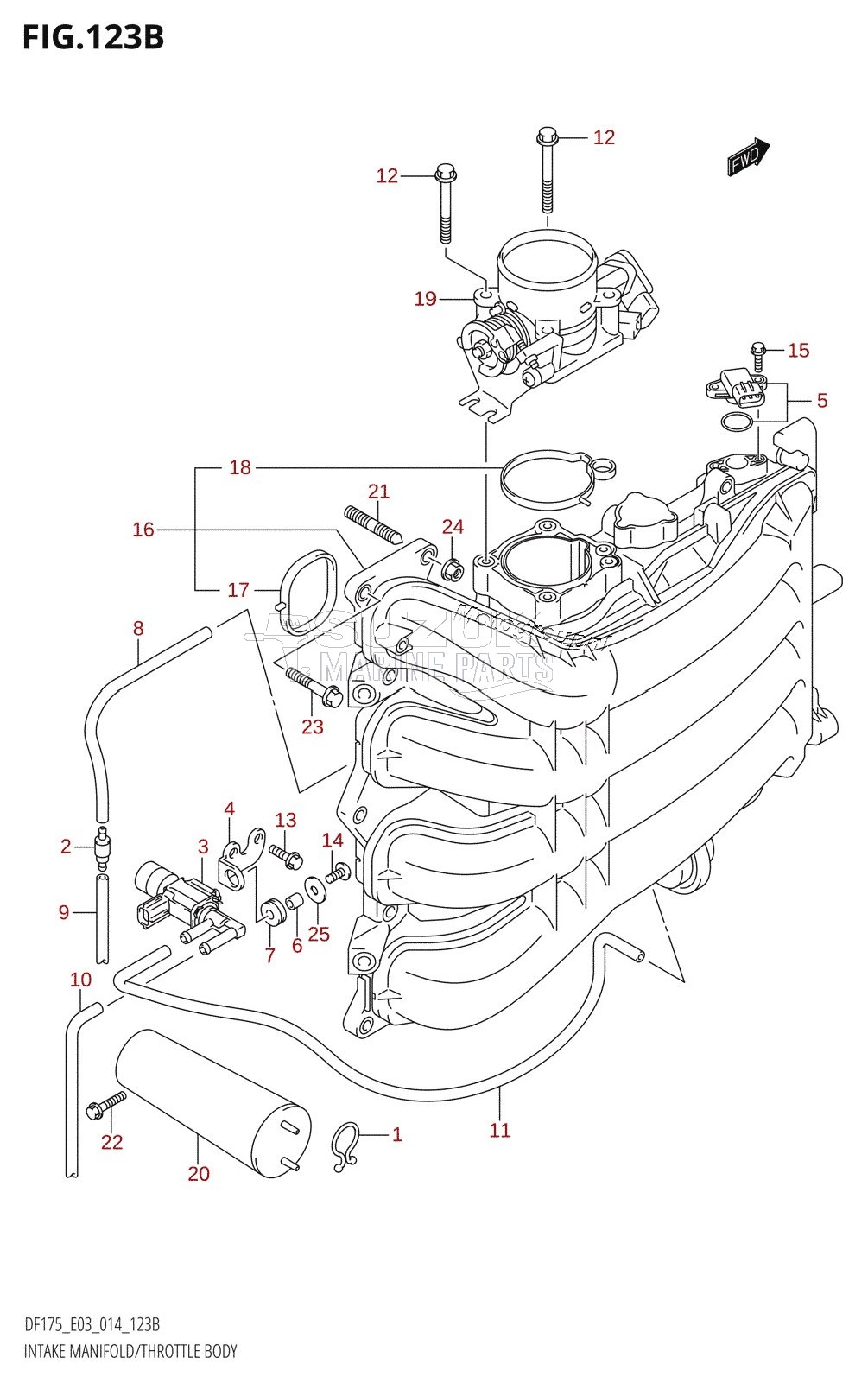 INTAKE MANIFOLD /​ THROTTLE BODY (DF150TG:E03)