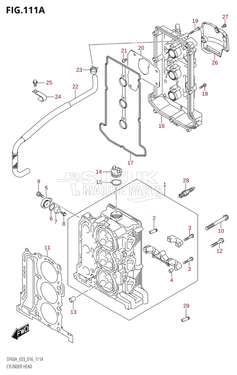 CYLINDER HEAD (DF40A:E03)