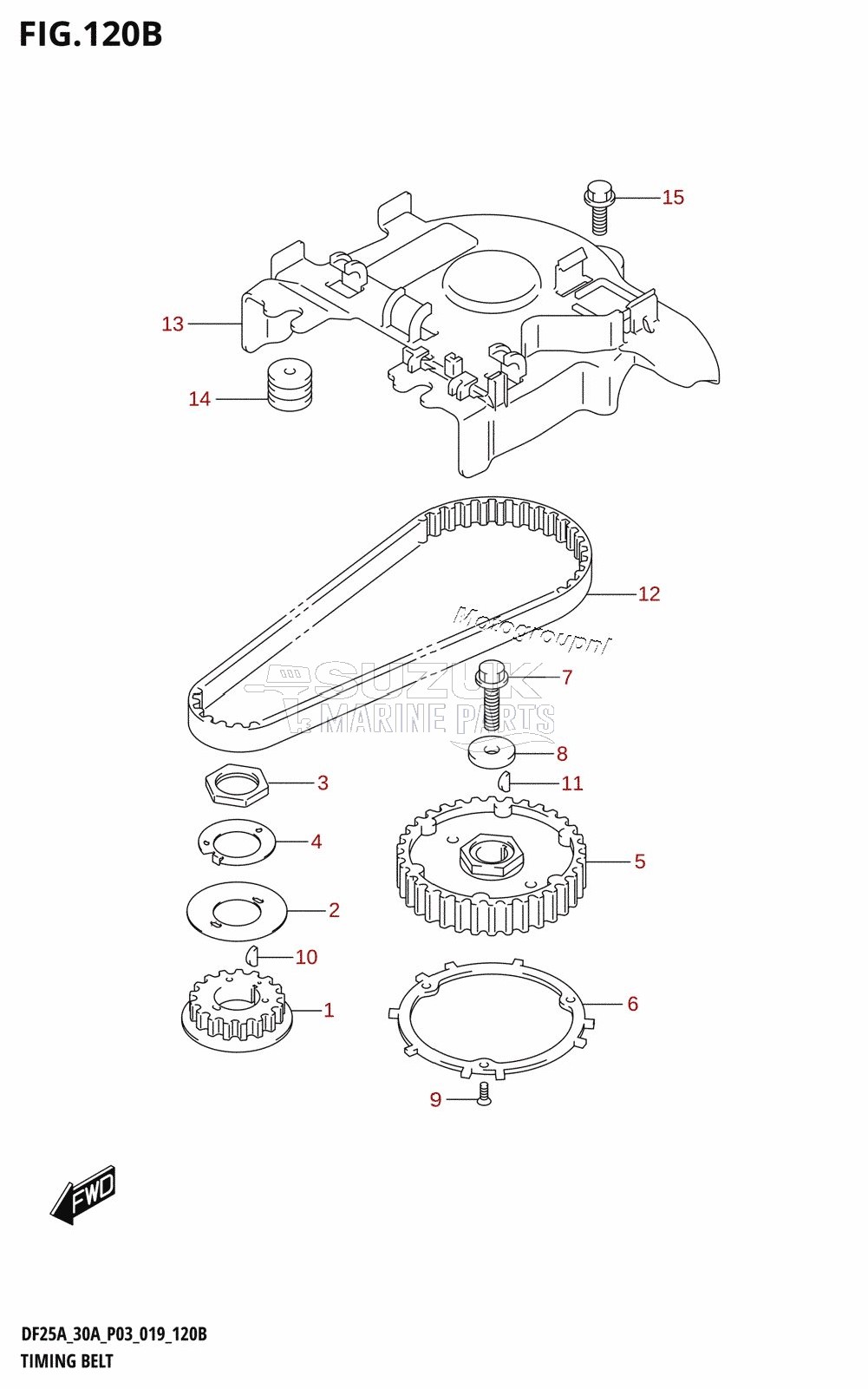 TIMING BELT (DF30AT,DF30ATH)