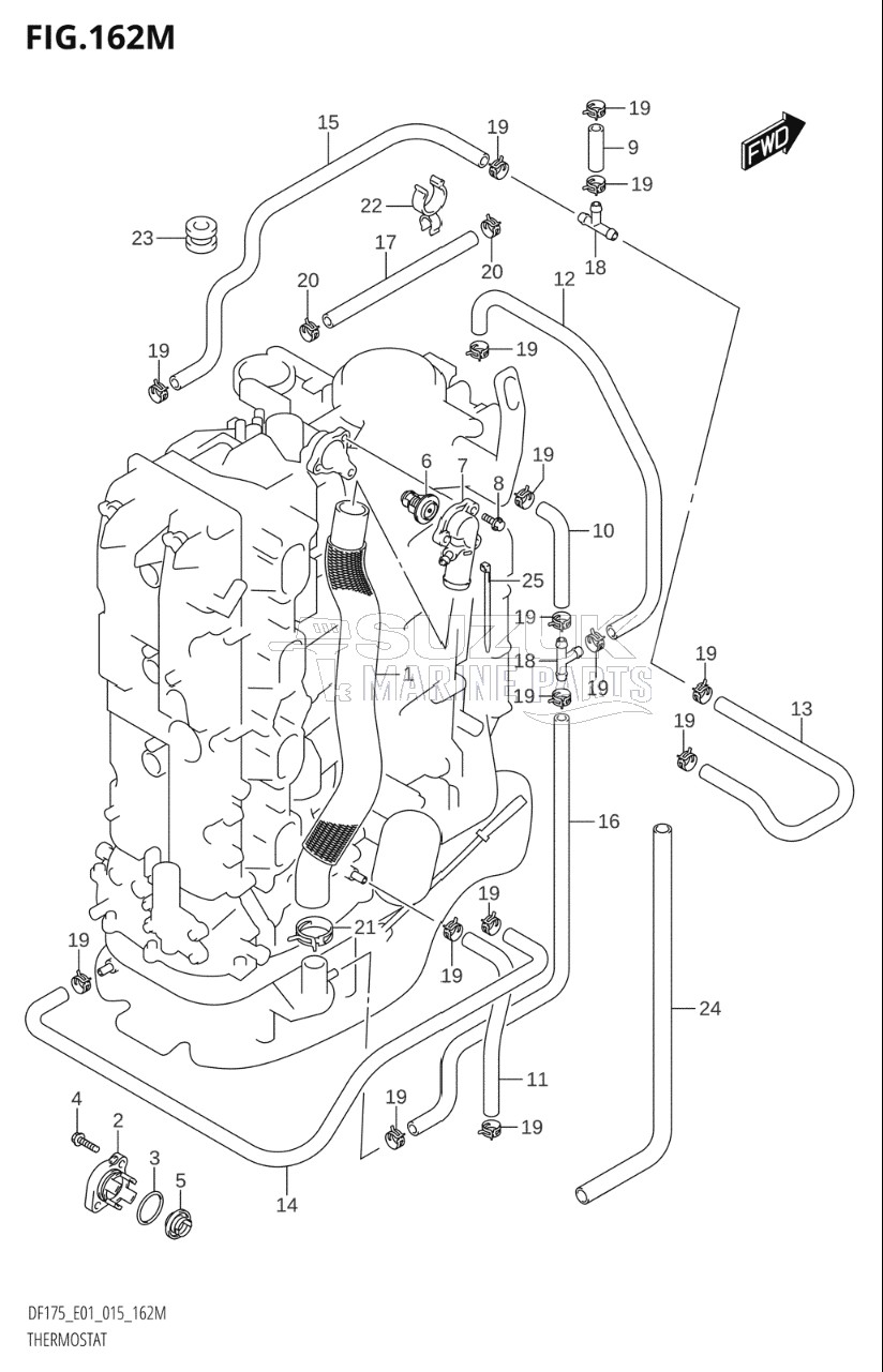 THERMOSTAT (DF175TG:E40)