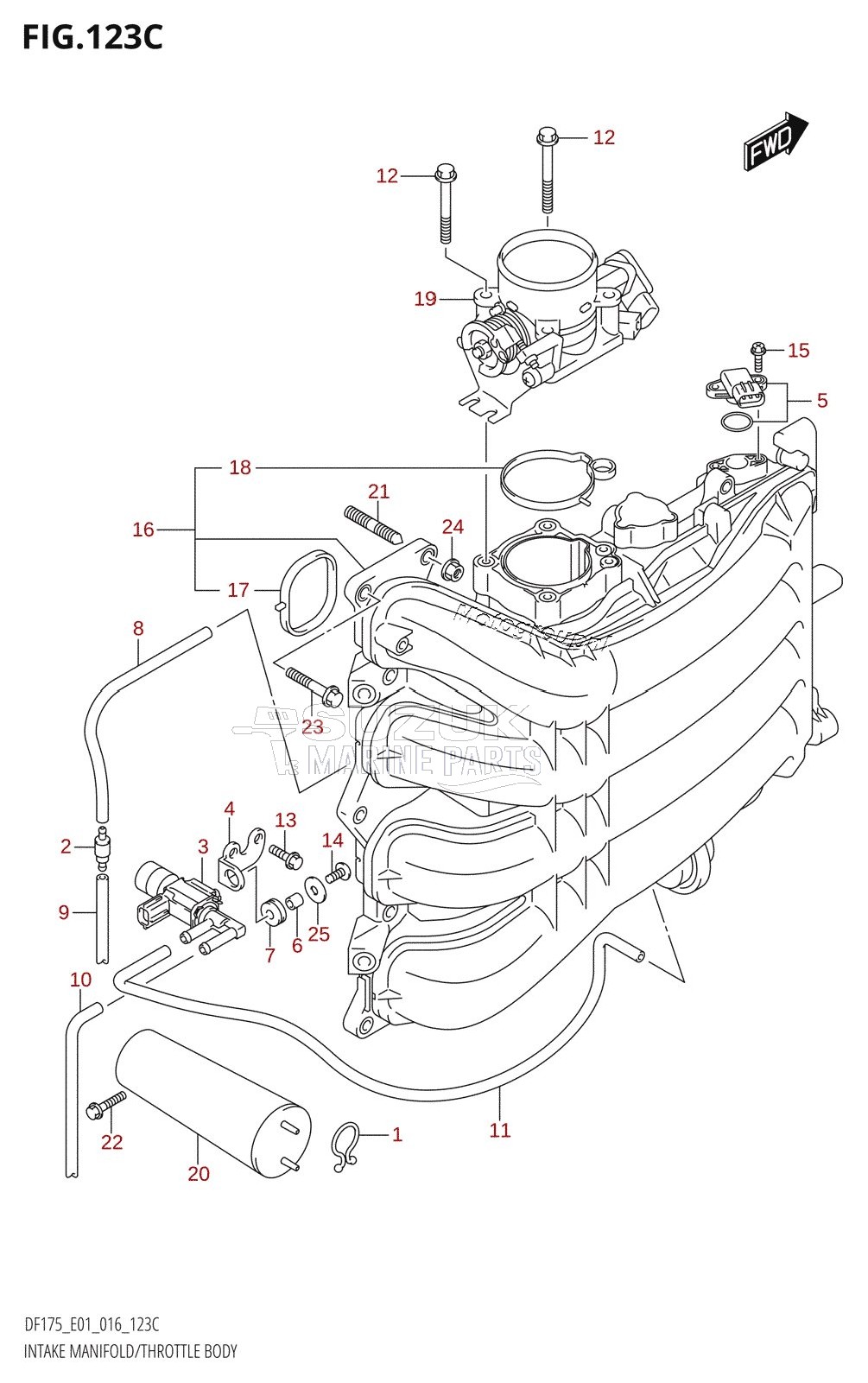 INTAKE MANIFOLD /​ THROTTLE BODY (DF150TG:E01)