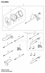 DF60A From 06002F-910001 (E03)  2019 drawing OPT:MULTI FUNCTION GAUGE