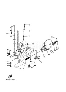 F100AETL drawing PROPELLER-HOUSING-AND-TRANSMISSION-2