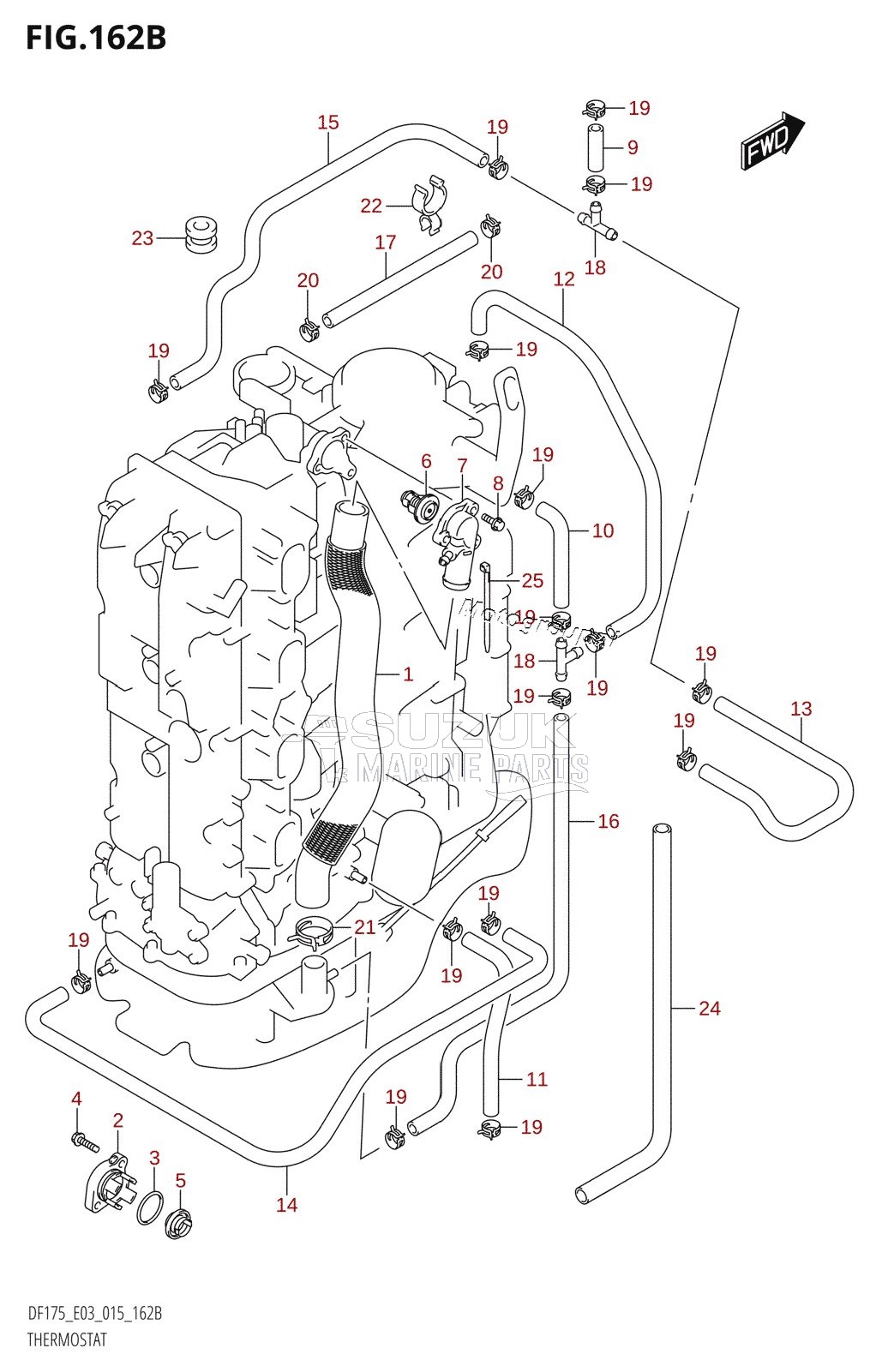 THERMOSTAT (DF150TG:E03)