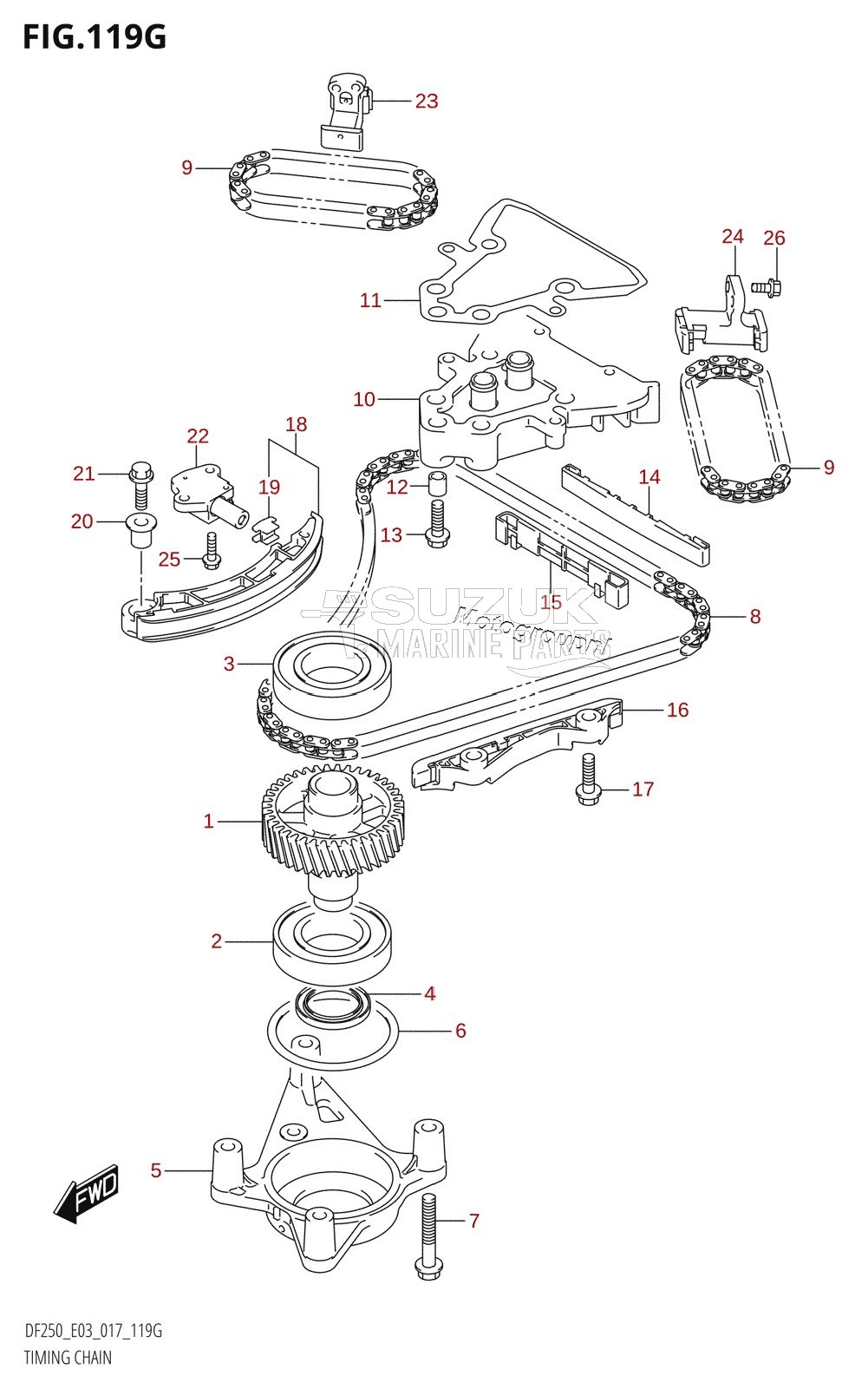 TIMING CHAIN (DF250ST:E03)