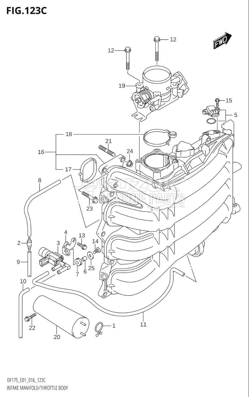 INTAKE MANIFOLD / THROTTLE BODY (DF150TG:E01)