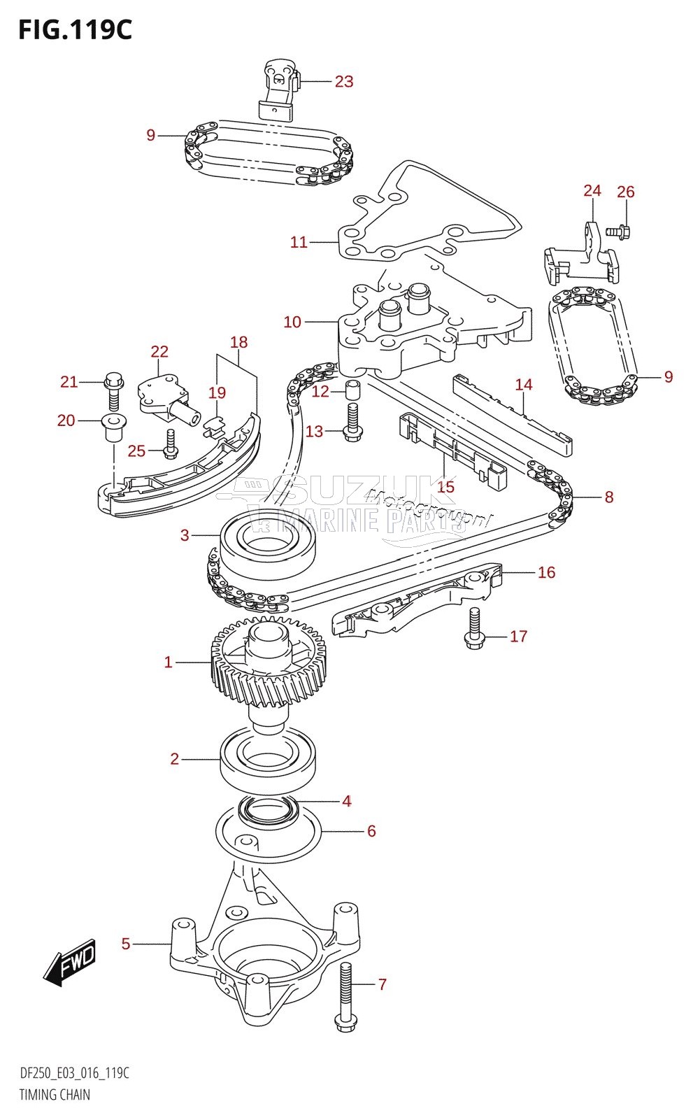 TIMING CHAIN (DF225T:E03)