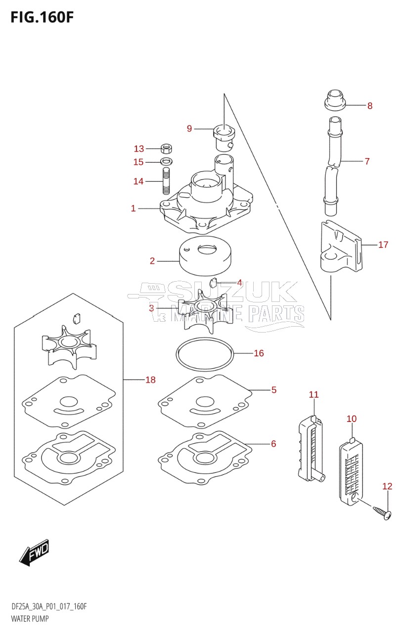 WATER PUMP (DF30AR:P01)