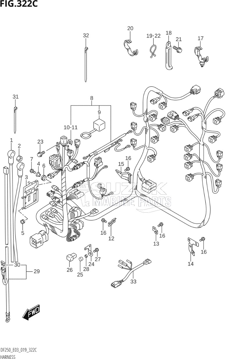 HARNESS (DF250ST)