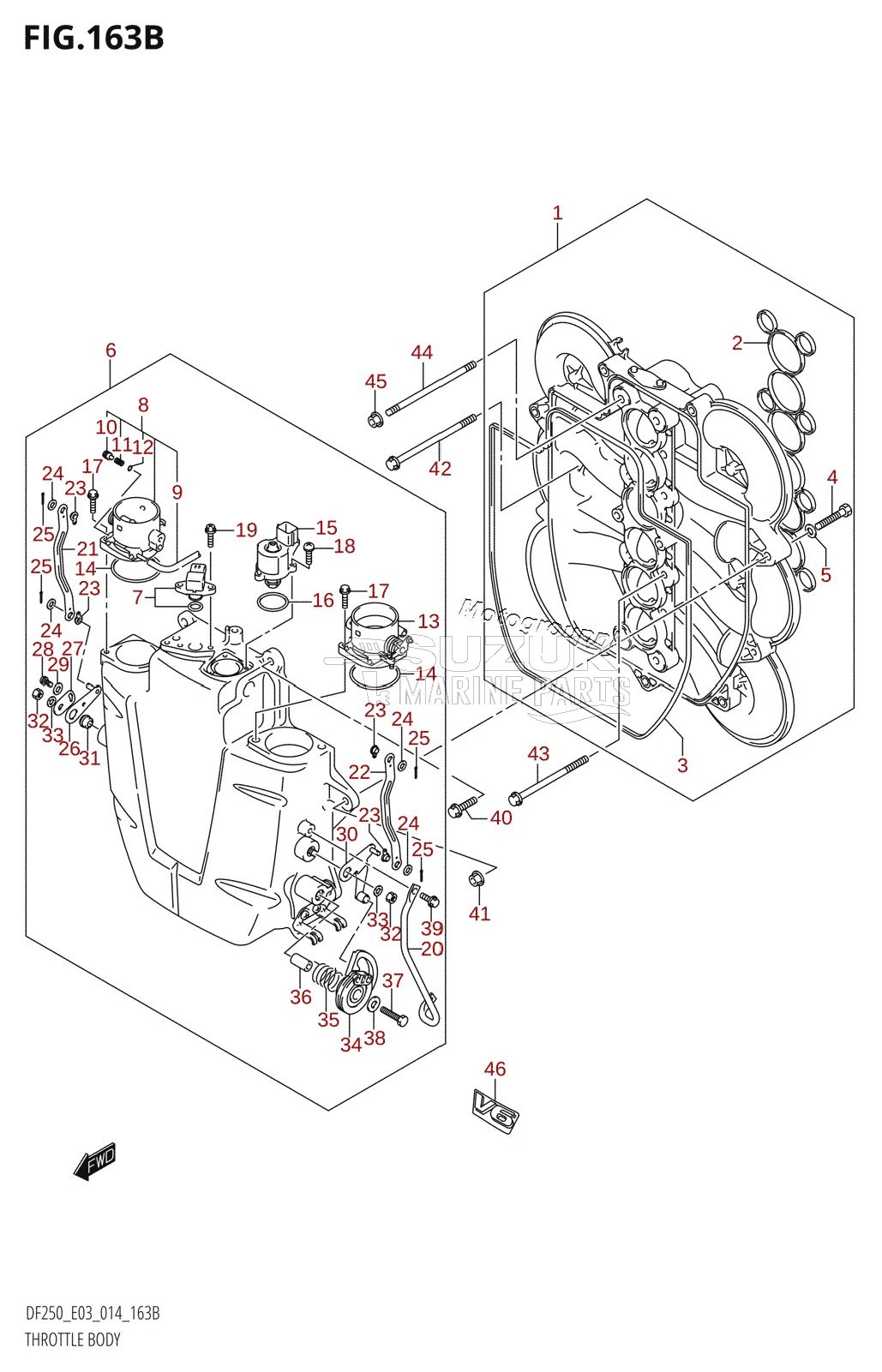 THROTTLE BODY (DF200Z:E03)