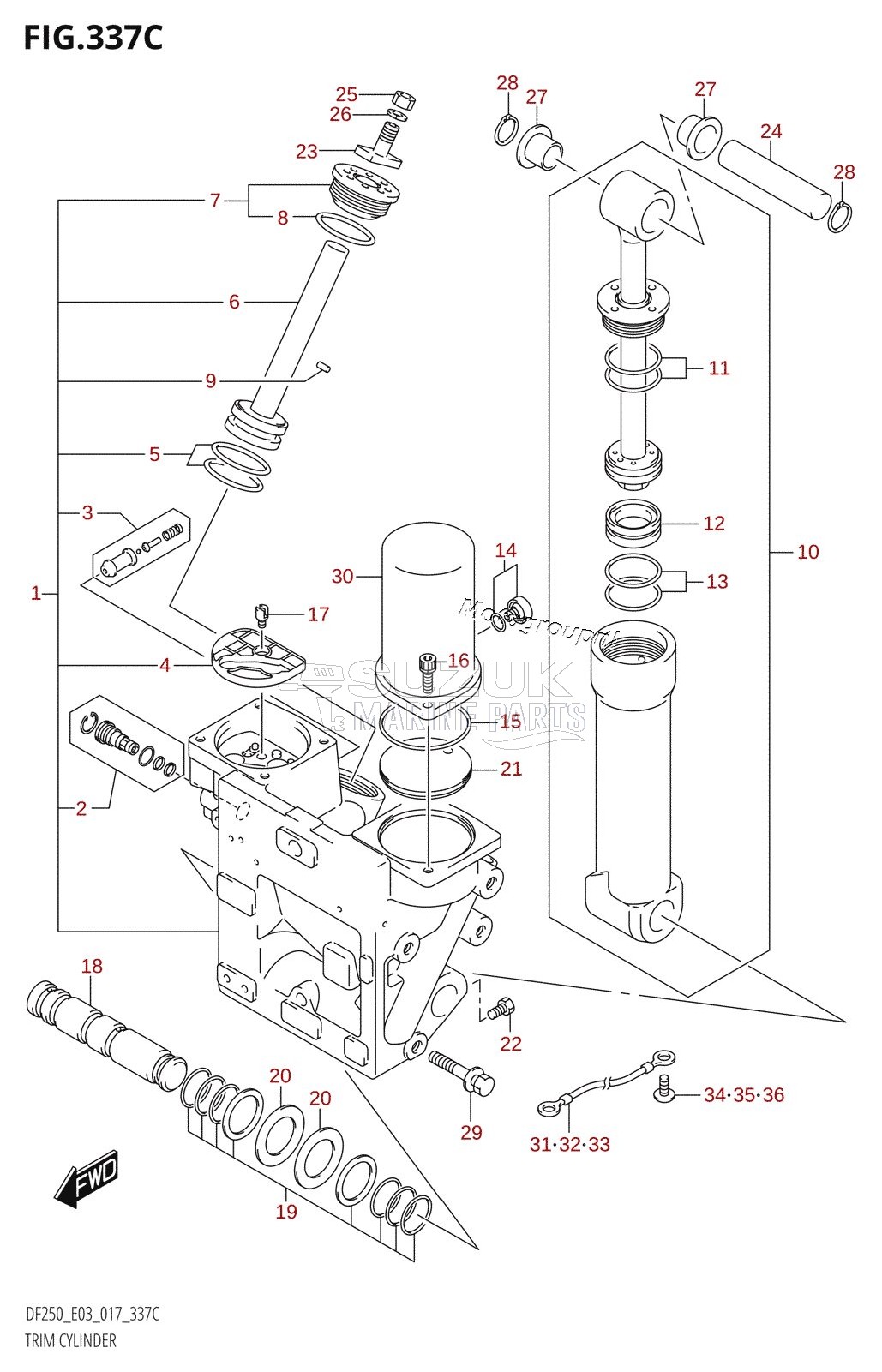 TRIM CYLINDER (DF225T:E03:(X-TRANSOM,XX-TRANSOM))