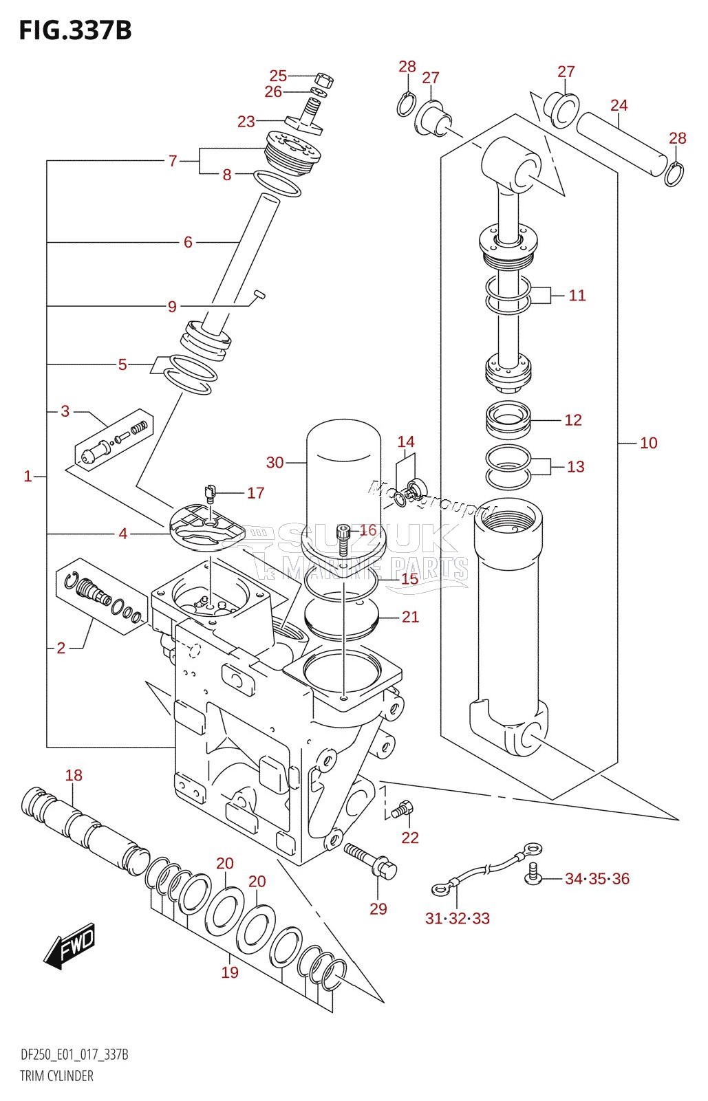 TRIM CYLINDER (DF200Z:E40:X-TRANSOM)