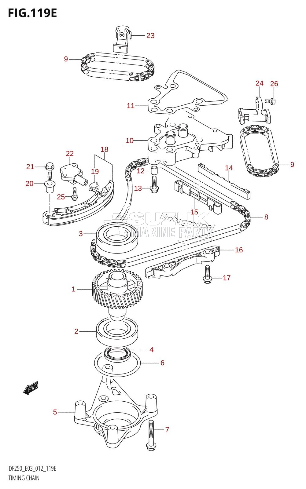 TIMING CHAIN (DF250T:E03)