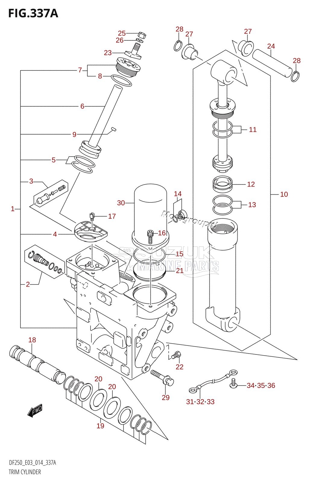 TRIM CYLINDER (DF200T:E03:X-TRANSOM)