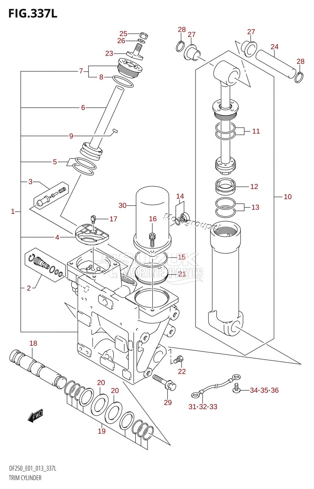 TRIM CYLINDER (DF250Z:E01:(X-TRANSOM,XX-TRANSOM))