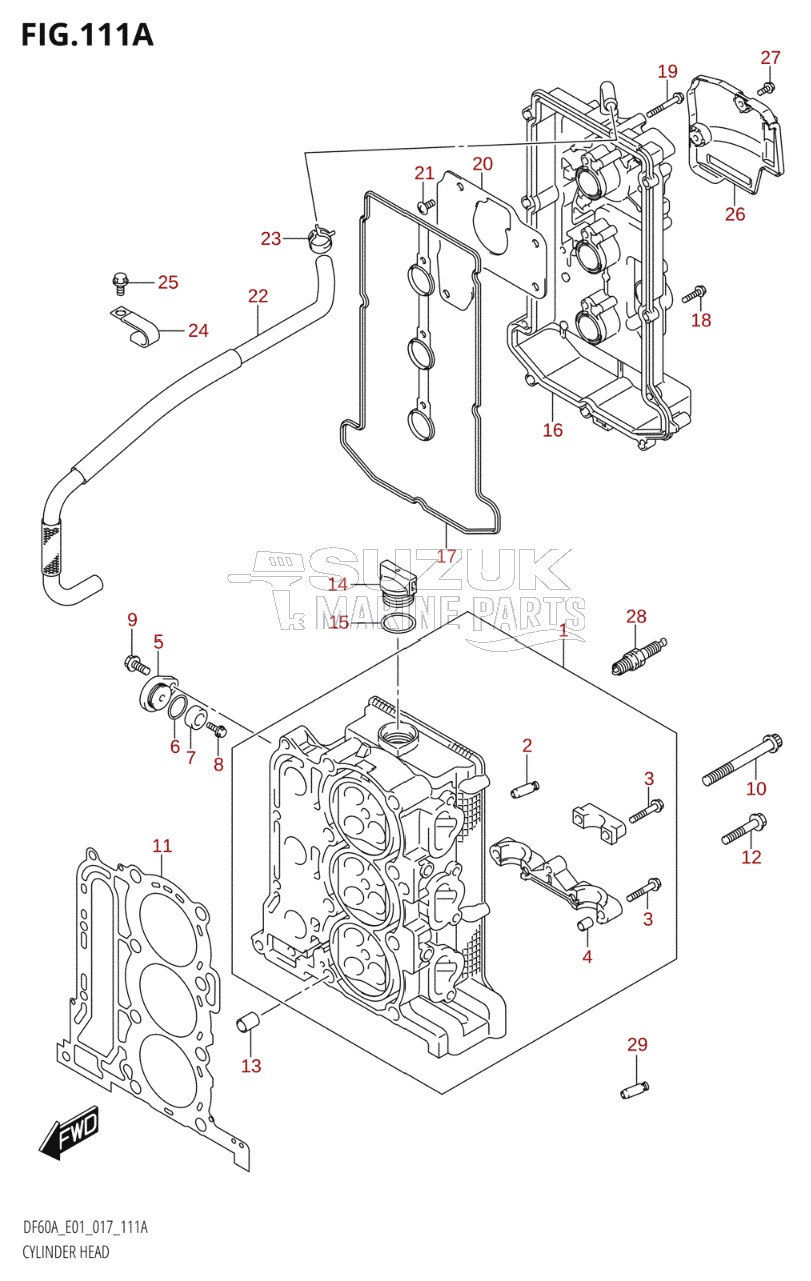 CYLINDER HEAD (DF40A:E01)